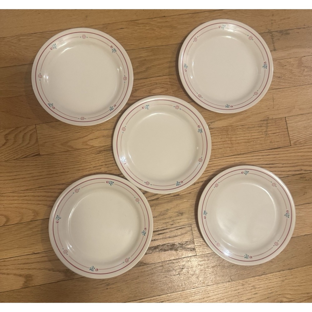 Corelle 5pc 7" salad Plates White w/ Pink Blue Floral Border Round Glass
